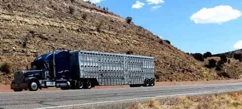 How Car Transportation Works: A Beginner’s Guide
