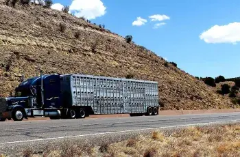 How Car Transportation Works: A Beginner’s Guide